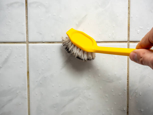 Best Mold Cleaning Services  in Du Quoin, IL