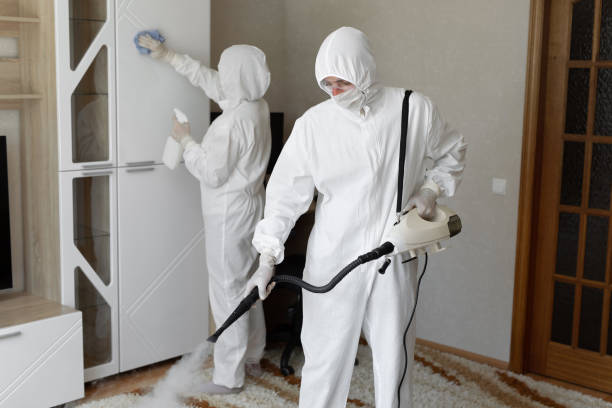 Best Mold Cleaning Services  in Du Quoin, IL